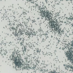 Black silicon carbide for abrasive applications, providing exceptional hardness, sharpness, and durability for grinding, cutting, and polishing.